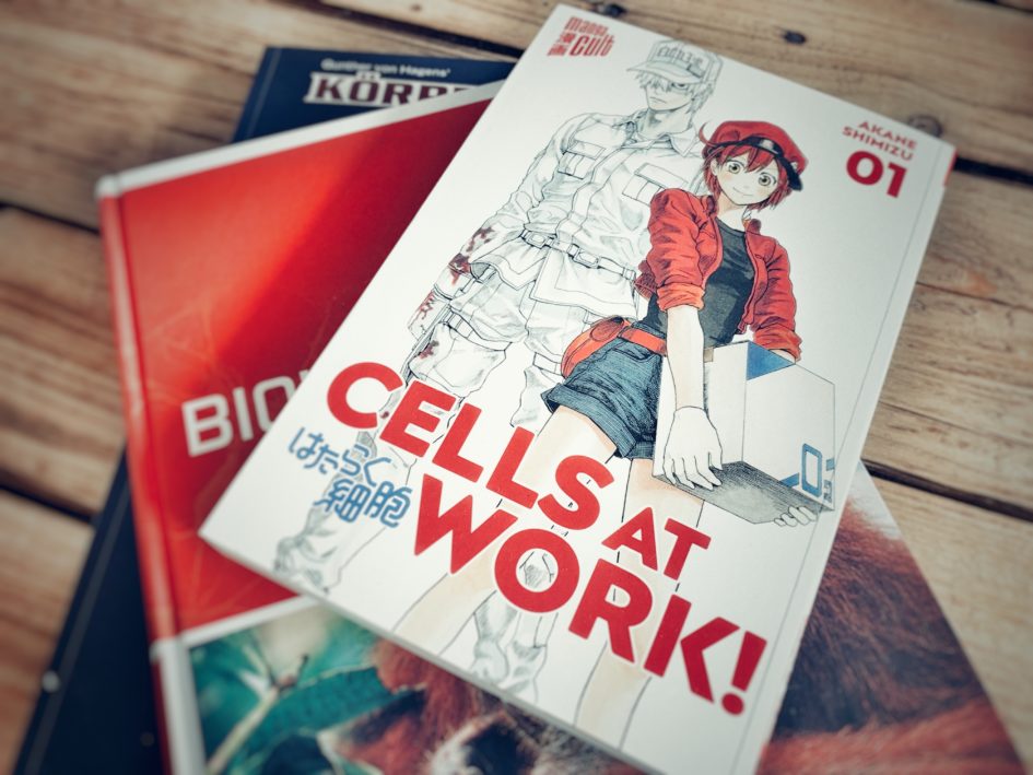 Cells at work